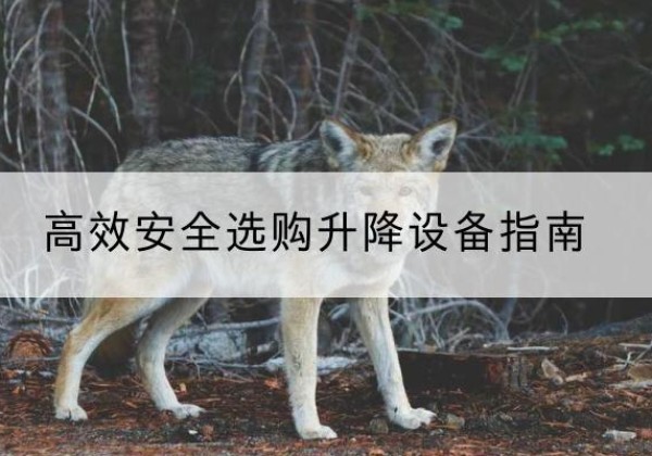 鸡泽升降货梯厂家推荐-*安全选购升降设备指南