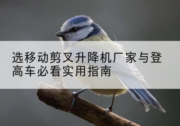 鸡泽电动升降机厂家-选移动剪叉升降机厂家与登高车必看实用指南